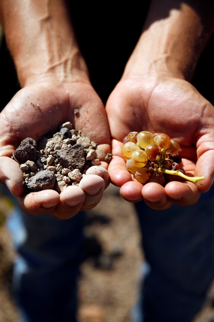 wine - Santorini of Wine and Vine: The Profile of a World-Class Oenological Destination