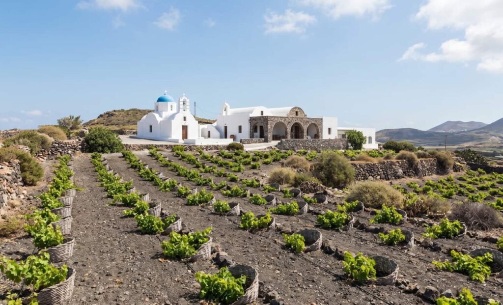 Volcanic Landmark: Private Estate Wineries Visits & Food& Wine Tours